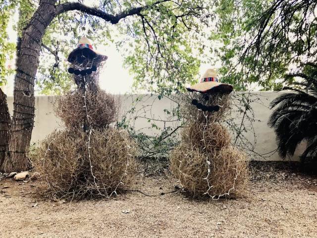 daily picdump 94 pics 45.html - 94 HD Photos | Premium Gallery 2018