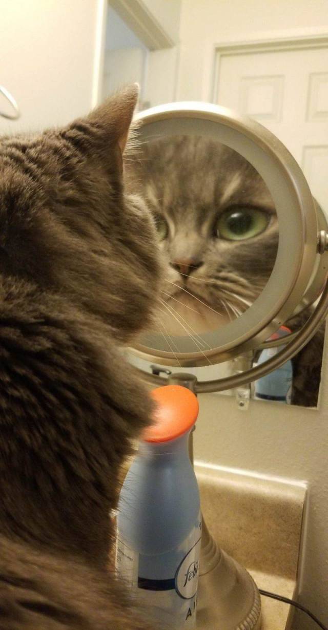 daily picdump 94 pics 45.html - 94 HD Photos | Premium Gallery 2018