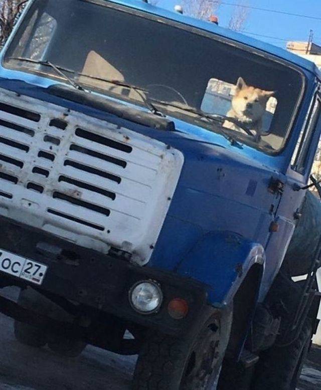 daily picdump 94 pics 45.html - 94 HD Photos | Premium Gallery 2018