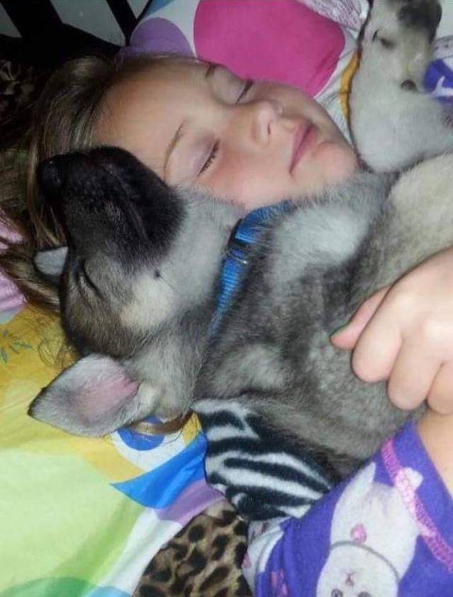 daily picdump 94 pics 45.html - 94 HD Photos | Premium Gallery 2018