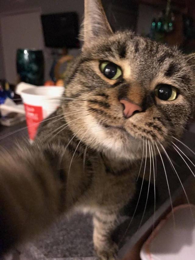 daily picdump 94 pics 45.html - 94 HD Photos | Premium Gallery 2018