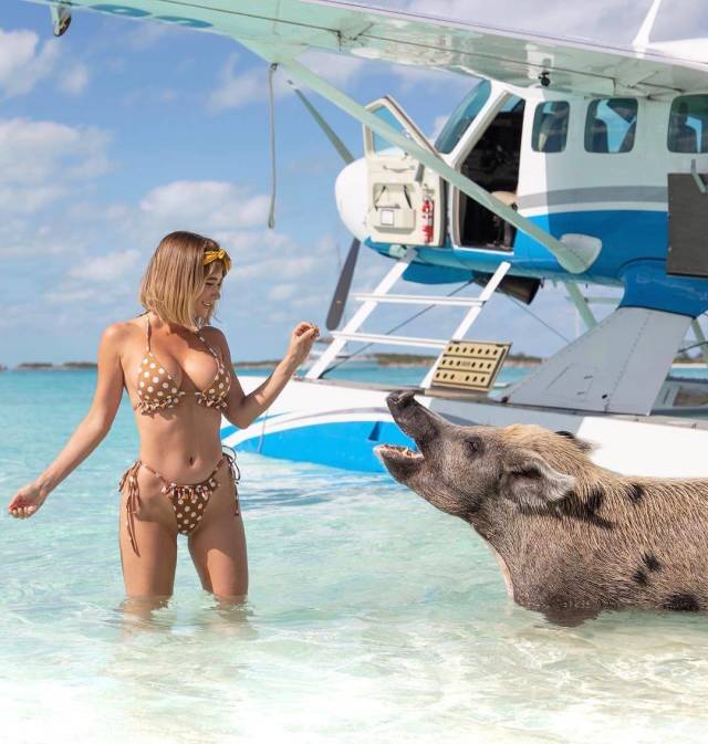 daily picdump 94 pics 45.html - 94 HD Photos | Premium Gallery 2018