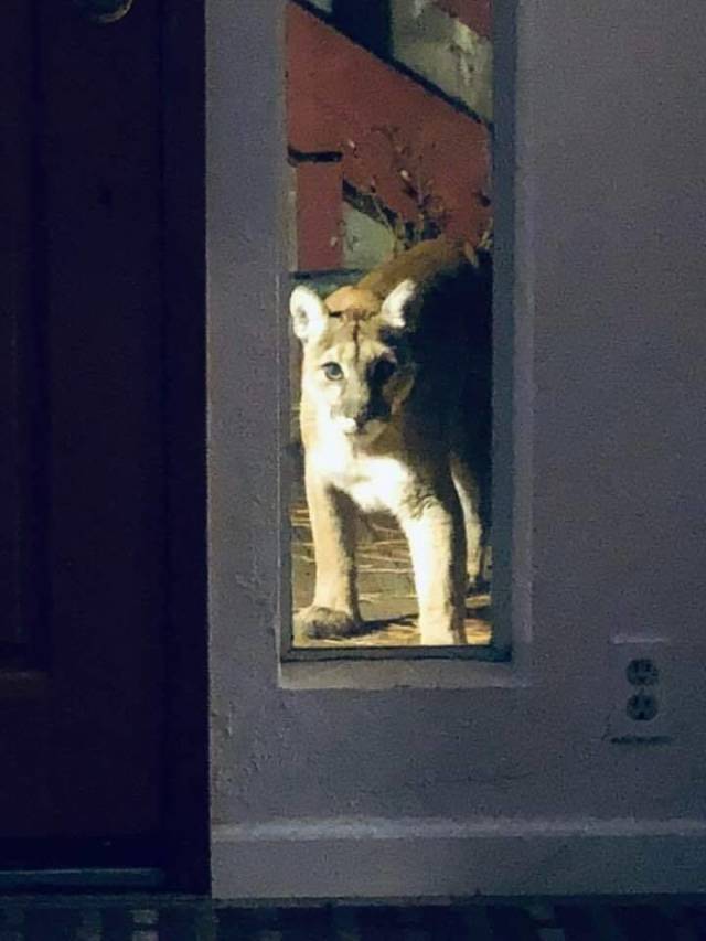 daily picdump 94 pics 45.html - 94 HD Photos | Premium Gallery 2018