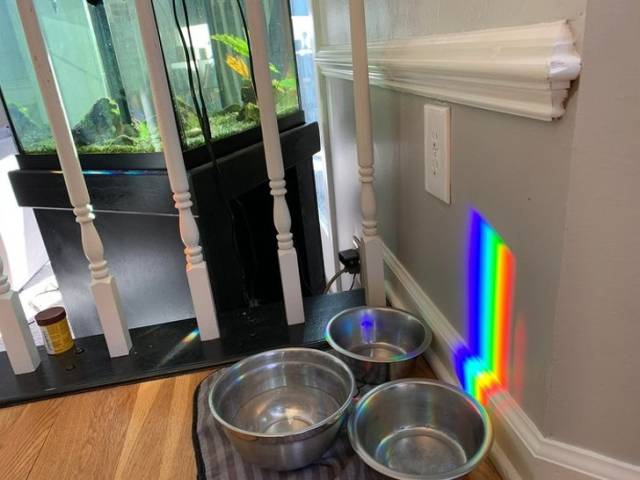 There Was No Better Moment For These Photos