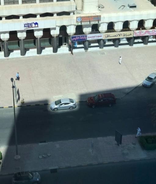 There Was No Better Moment For These Photos