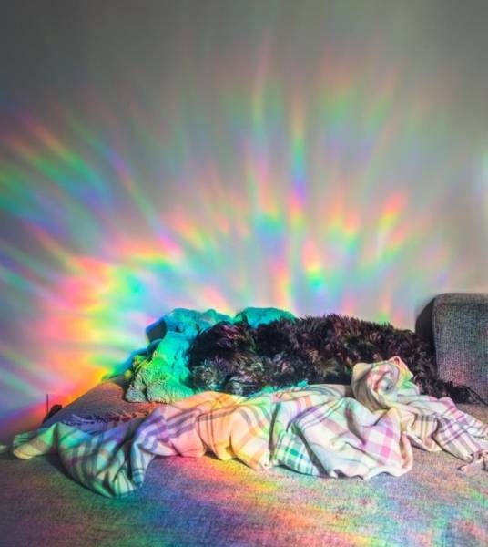 There Was No Better Moment For These Photos