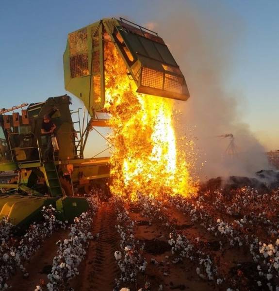 There Was No Better Moment For These Photos