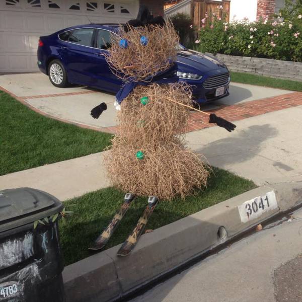 Daily Picdump [WEEKEND EDITION]