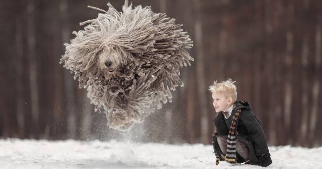 Daily Picdump [WEEKEND EDITION]