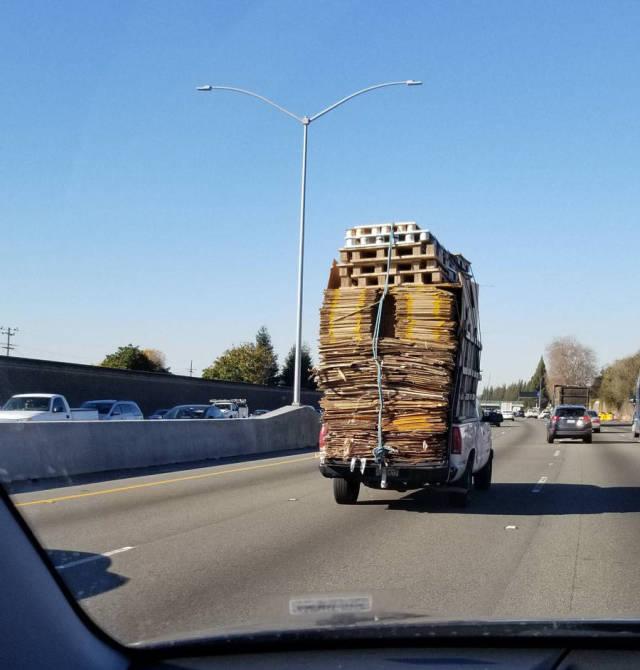 Daily Picdump [WEEKEND EDITION]