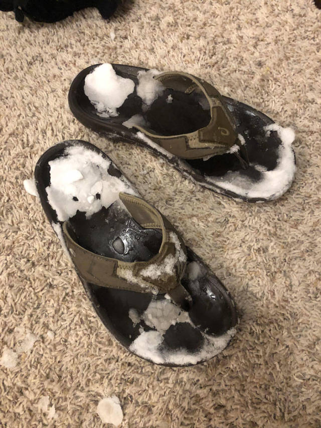 Daily Picdump [WEEKEND EDITION]