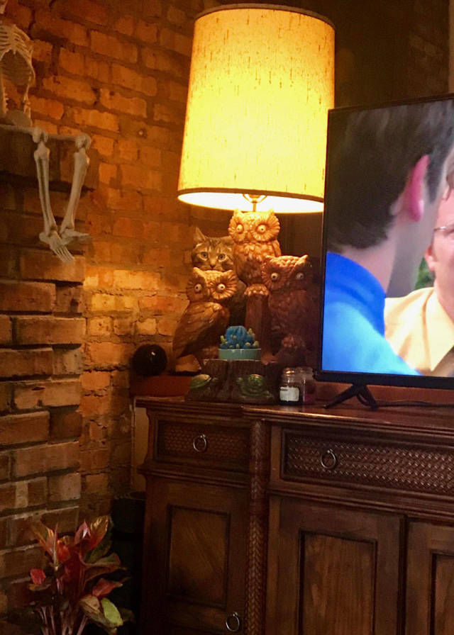 Daily Picdump [WEEKEND EDITION]