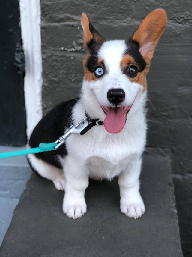 Daily Picdump [WEEKEND EDITION]