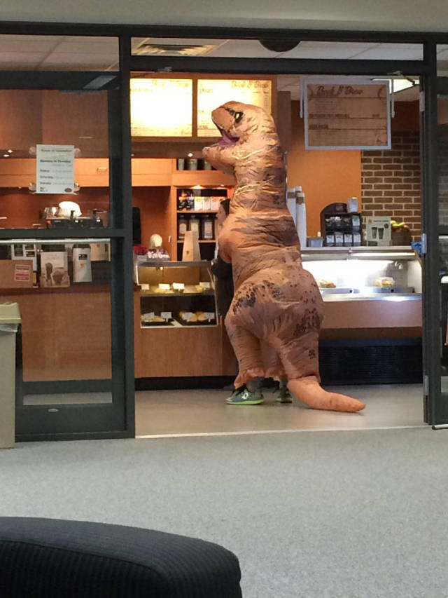 Daily Picdump [WEEKEND EDITION]