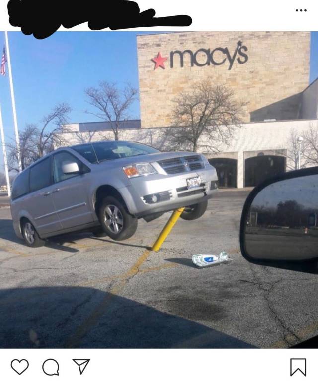 daily picdump weekend edition 51 pics 2.html - 51 HD Photos | Premium Gallery 2018