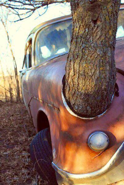 daily picdump weekend edition 51 pics 2.html - 51 HD Photos | Premium Gallery 2018