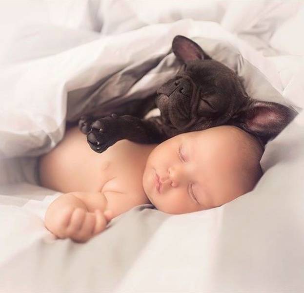 daily picdump 100 pics 41.html - 100 HD Photos | Premium Gallery 2018