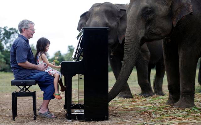 daily picdump 100 pics 41.html - 100 HD Photos | Premium Gallery 2018