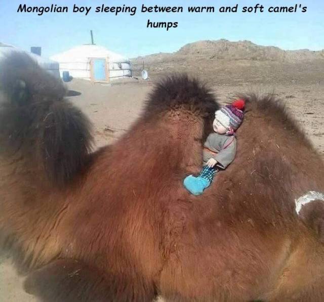 daily picdump 100 pics 41.html - 100 HD Photos | Premium Gallery 2018