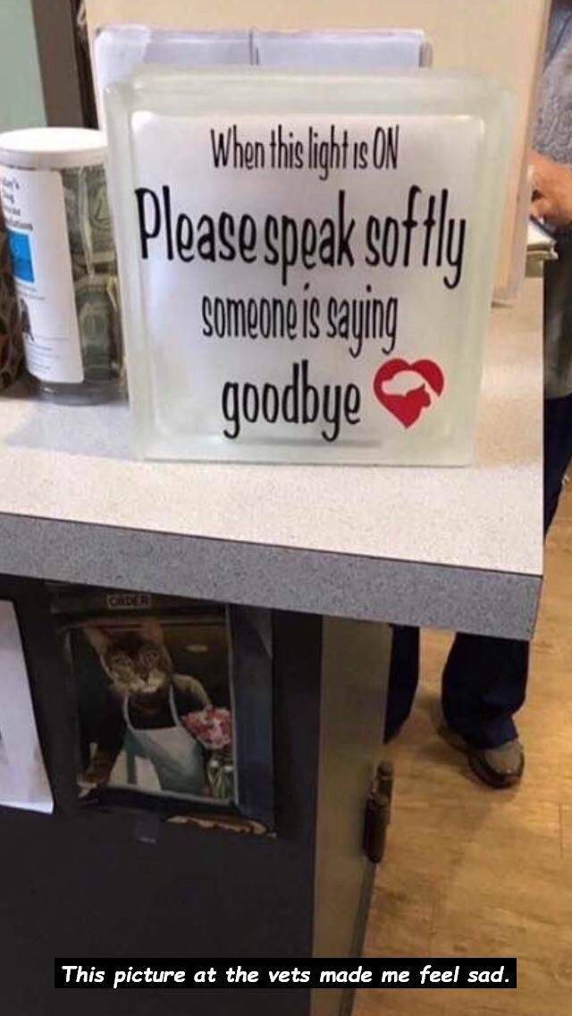 daily picdump 100 pics 41.html - 100 HD Photos | Premium Gallery 2018