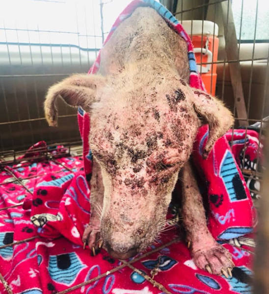 They Thought She Wouldn’t Make It, But She Did!