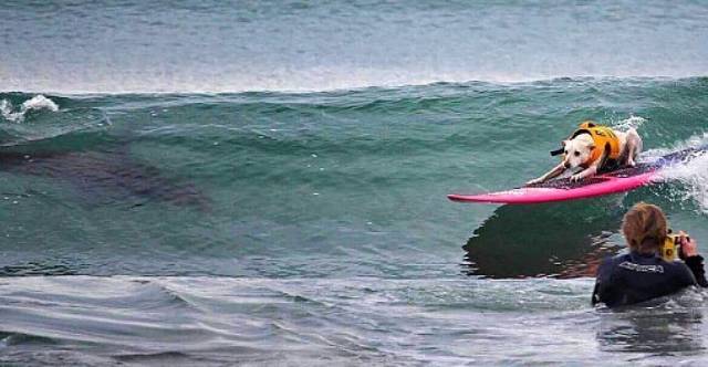 daily picdump 100 pics 38.html - 100 HD Photos | Premium Gallery 2018