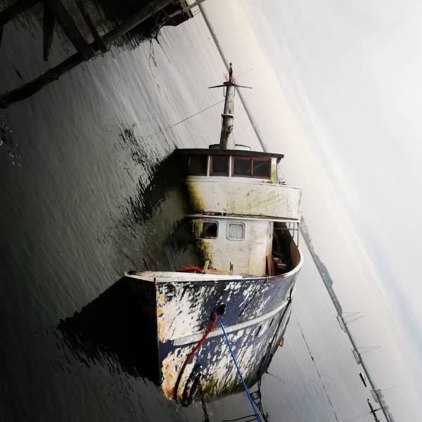 daily picdump 100 pics 38.html - 100 HD Photos | Premium Gallery 2018