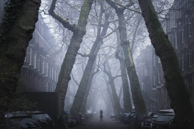 daily picdump 100 pics 38.html - 100 HD Photos | Premium Gallery 2018