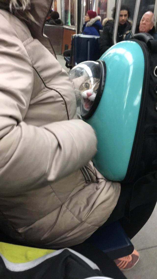 daily picdump 100 pics 38.html - 100 HD Photos | Premium Gallery 2018