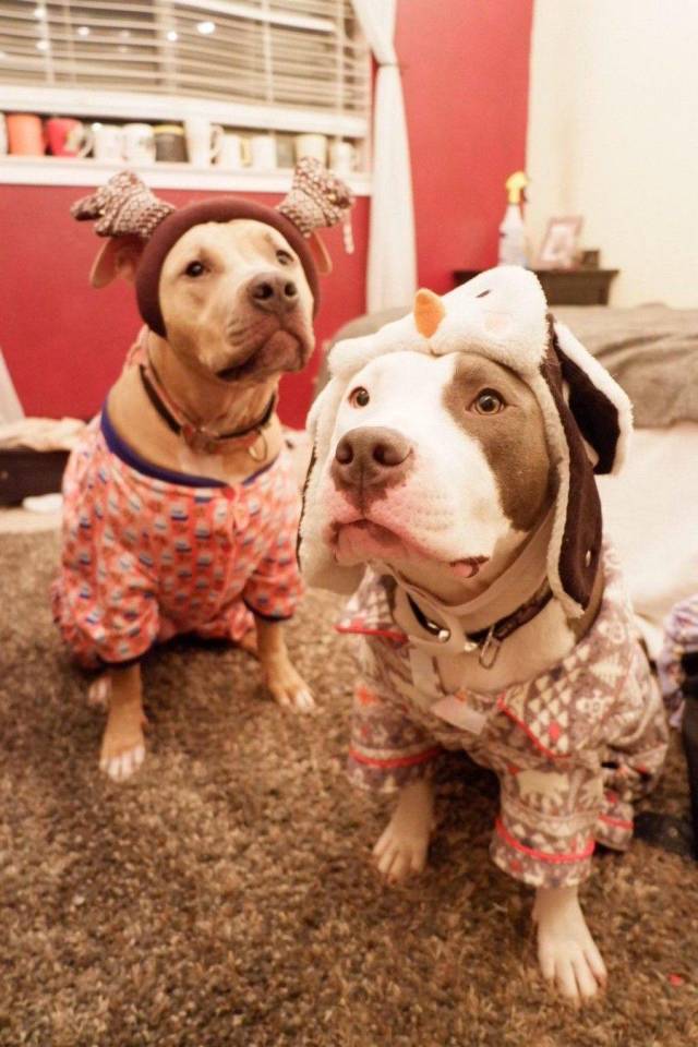 daily picdump 100 pics 38.html - 100 HD Photos | Premium Gallery 2018