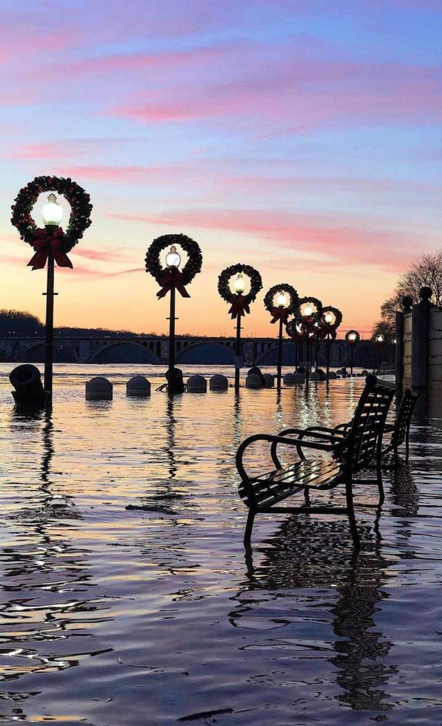 daily picdump 100 pics 38.html - 100 HD Photos | Premium Gallery 2018