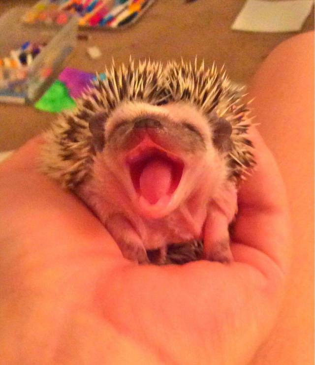 daily picdump 100 pics 38.html - 100 HD Photos | Premium Gallery 2018