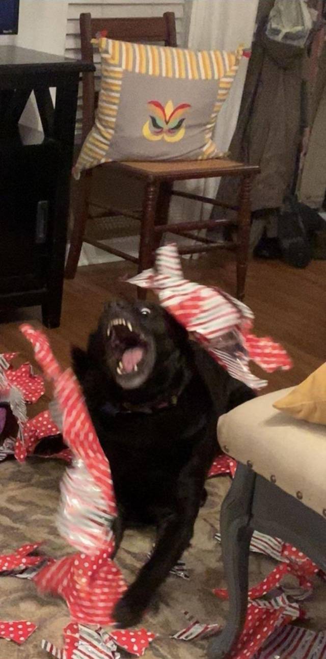 daily picdump 100 pics 38.html - 100 HD Photos | Premium Gallery 2018