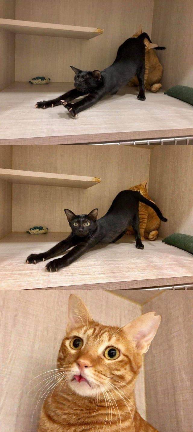 daily picdump 100 pics 38.html - 100 HD Photos | Premium Gallery 2018