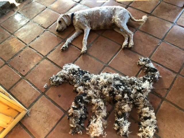 morning picdump 52 pics 50.html - 52 HD Photos | Premium Gallery 2018