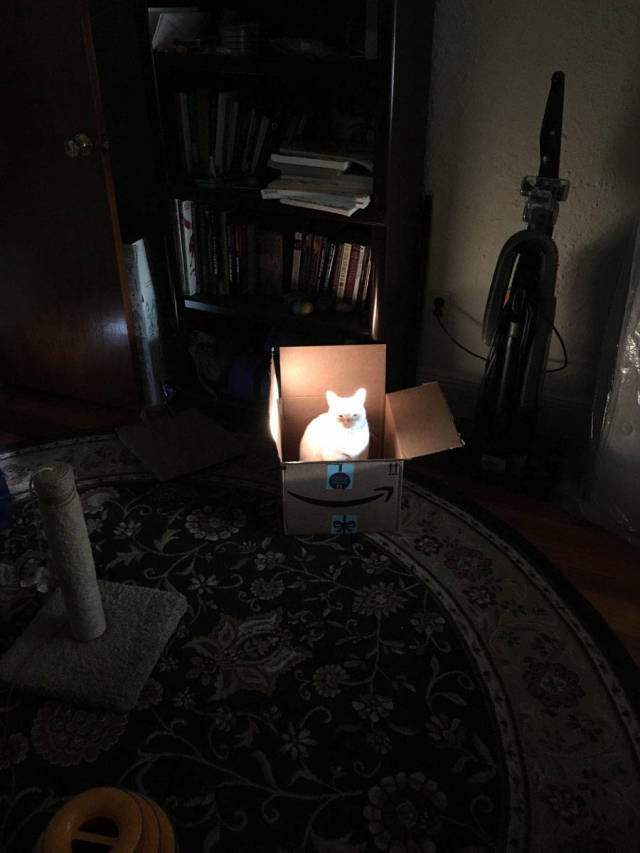 morning picdump 52 pics 50.html - 52 HD Photos | Premium Gallery 2018