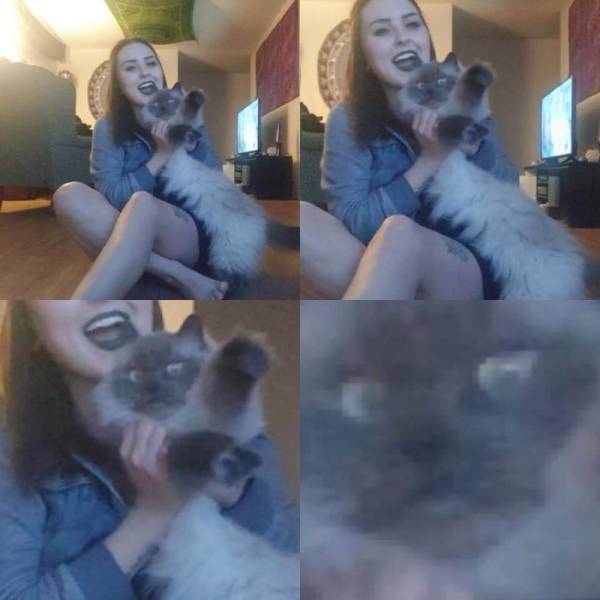 daily picdump 102 pics 41.html - 102 HD Photos | Premium Gallery 2018