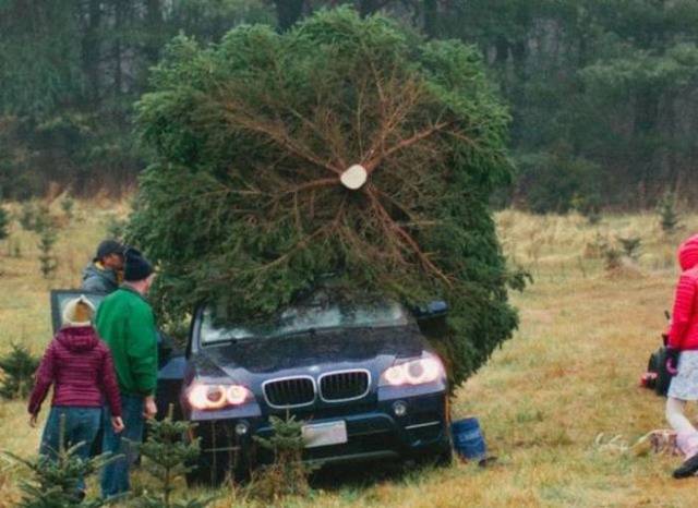 daily picdump 102 pics 41.html - 102 HD Photos | Premium Gallery 2018