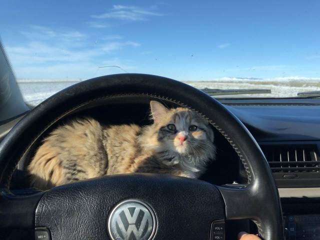 daily picdump 102 pics 41.html - 102 HD Photos | Premium Gallery 2018