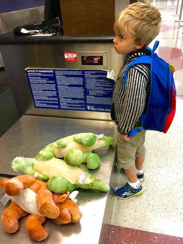 daily picdump 102 pics 41.html - 102 HD Photos | Premium Gallery 2018