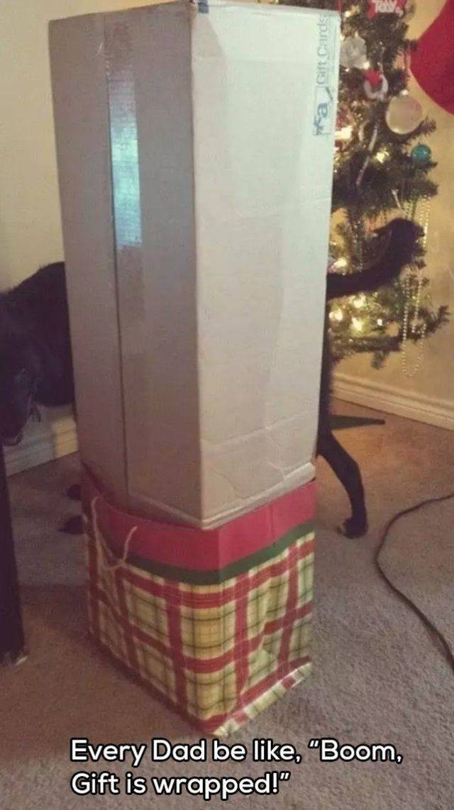 daily picdump 102 pics 41.html - 102 HD Photos | Premium Gallery 2018