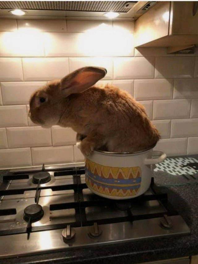 daily picdump 102 pics 41.html - 102 HD Photos | Premium Gallery 2018