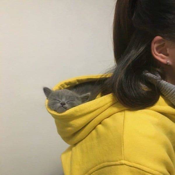 morning picdump 52 pics 49.html - 52 HD Photos | Premium Gallery 2018