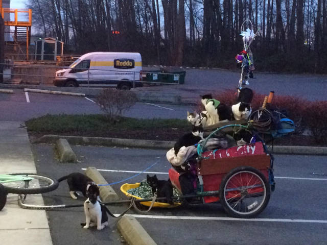 morning picdump 52 pics 49.html - 52 HD Photos | Premium Gallery 2018