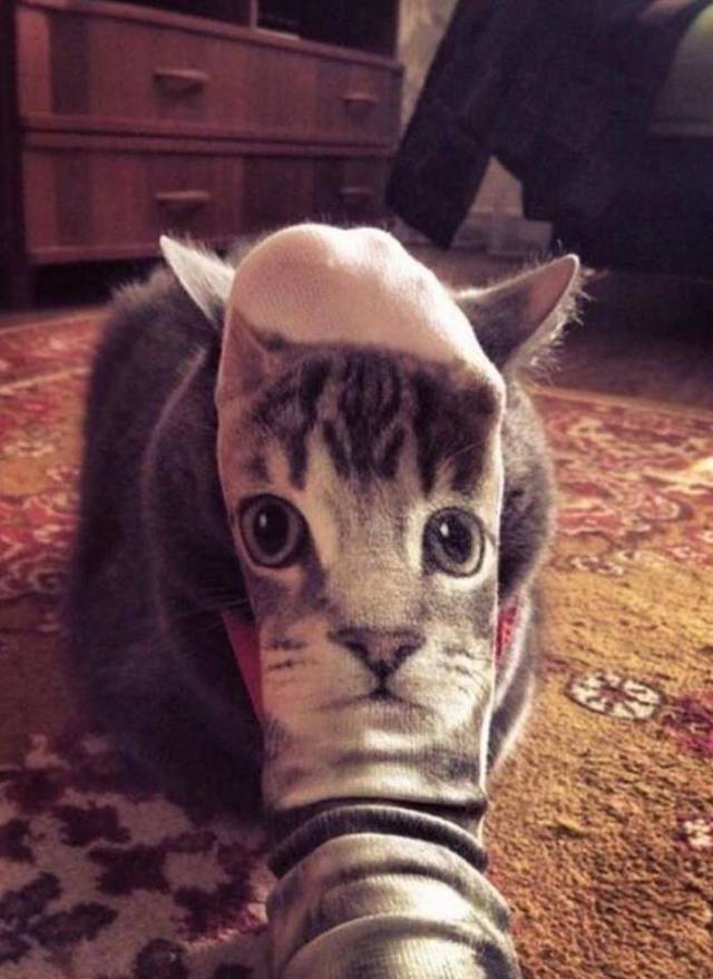 morning picdump 52 pics 49.html - 52 HD Photos | Premium Gallery 2018