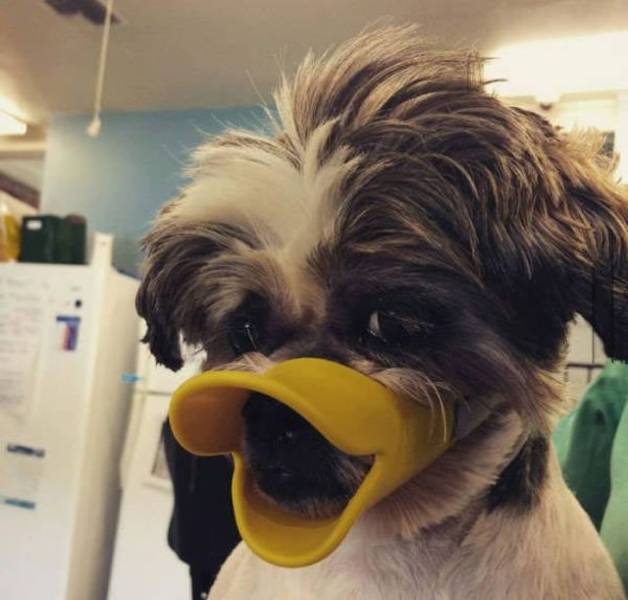 daily picdump 99 pics 43.html - 99 HD Photos | Premium Gallery 2018