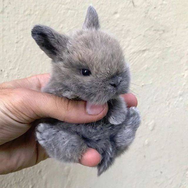 daily picdump 99 pics 43.html - 99 HD Photos | Premium Gallery 2018