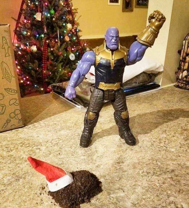 daily picdump 99 pics 43.html - 99 HD Photos | Premium Gallery 2018