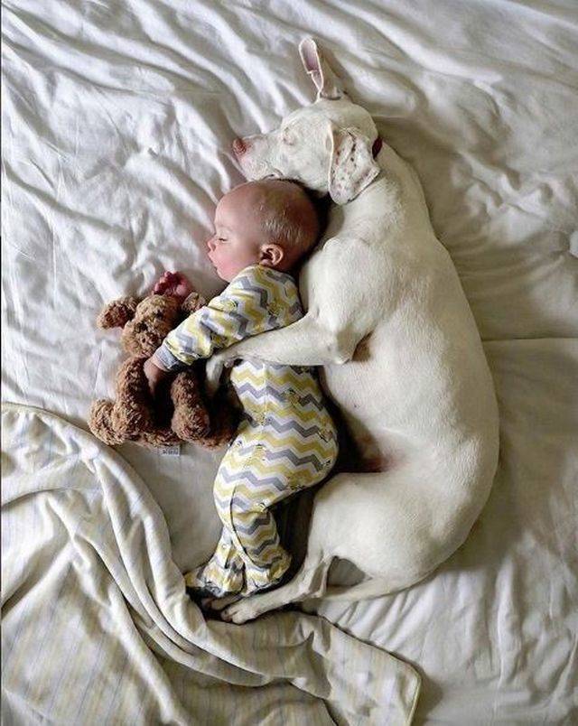 daily picdump 99 pics 43.html - 99 HD Photos | Premium Gallery 2018