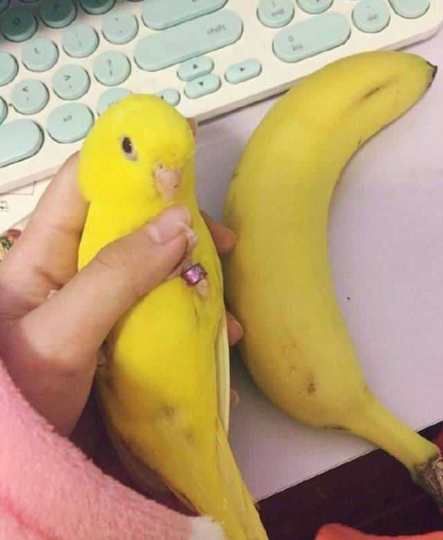 daily picdump 99 pics 43.html - 99 HD Photos | Premium Gallery 2018